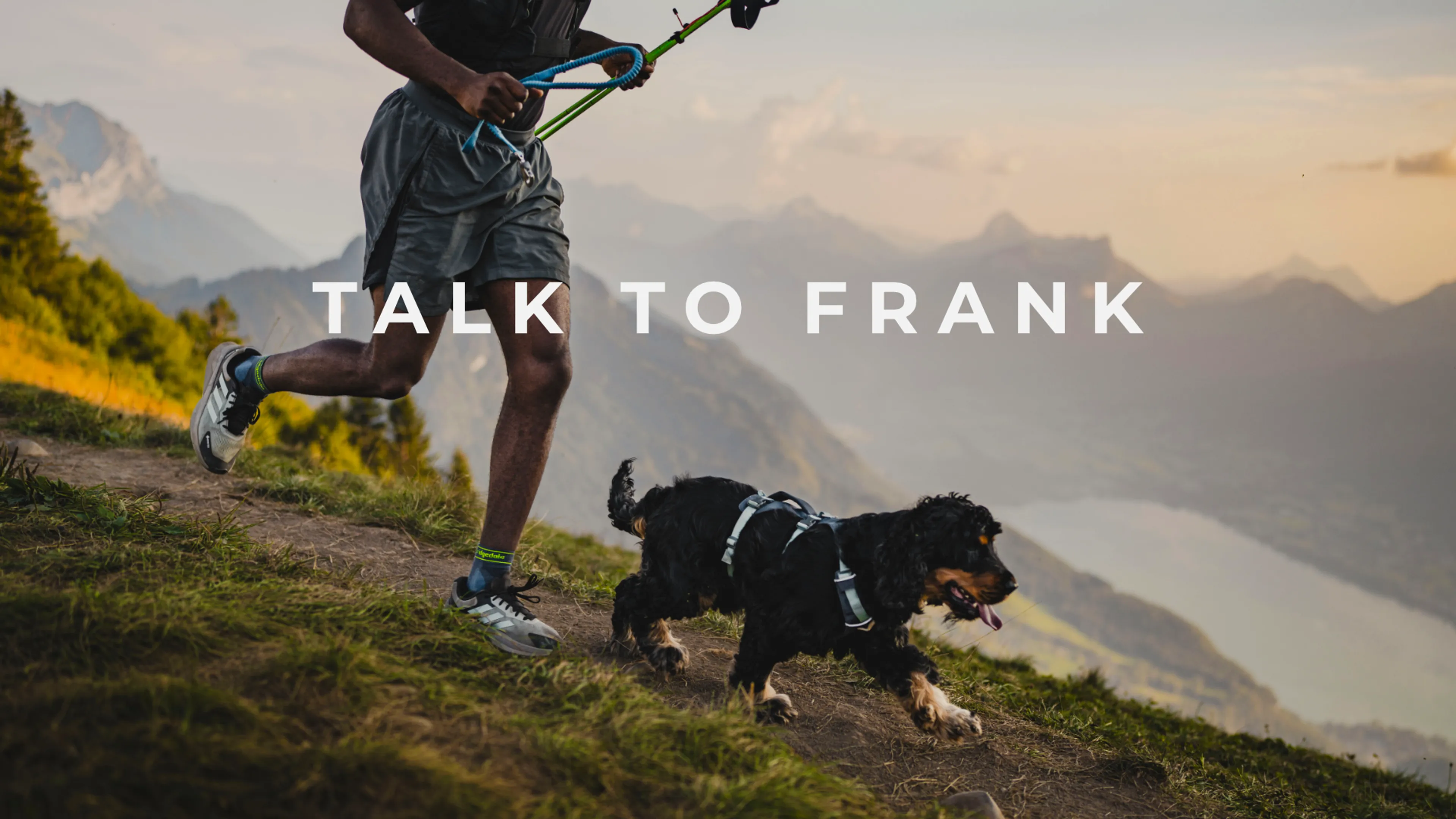 Talk To Frank poster